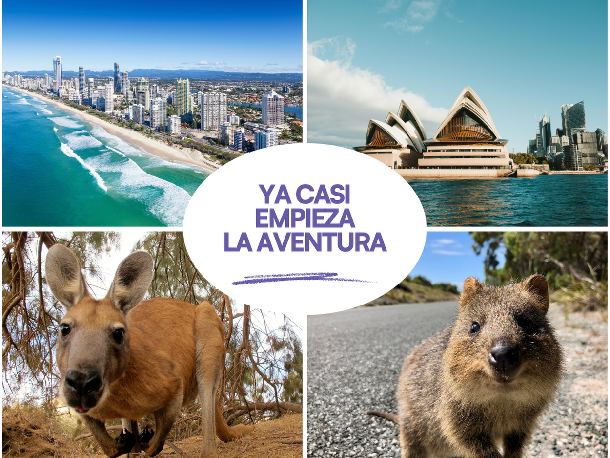 Equipo We Move Experience