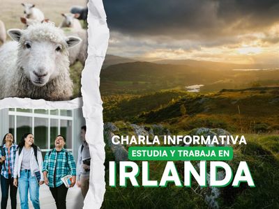  ¿Cómo estudiar y trabajar en Irlanda? 🍀🇮🇪