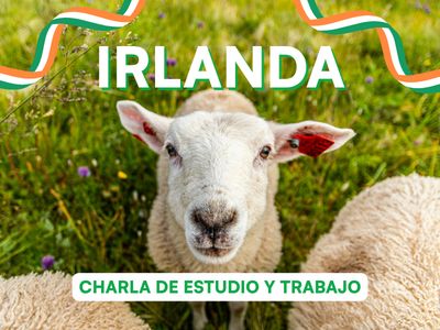 🇮🇪 Zoom Gratuito: ¿Cómo estudiar y trabajar en Irlanda? 🍀🇮🇪