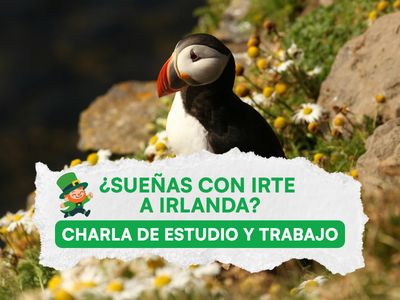 🇮🇪 Zoom Gratuito: ¿Cómo estudiar y trabajar en Irlanda? 🍀