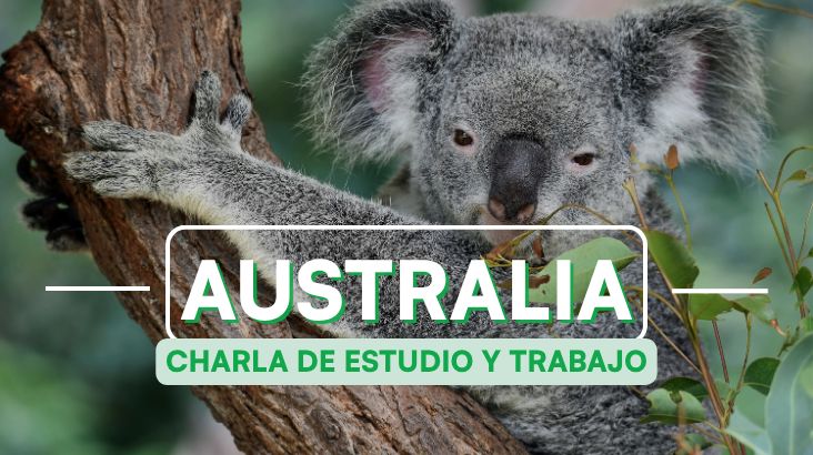 🇦🇺 Zoom Gratuito: Estudiar y Trabajar en Australia 🦘🇦🇺