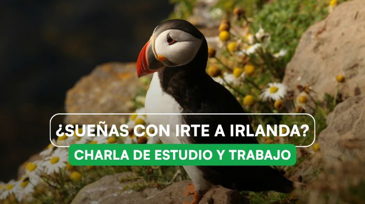 🇮🇪 Zoom Gratuito: ¿Cómo estudiar y trabajar en Irlanda? 🍀🇮🇪