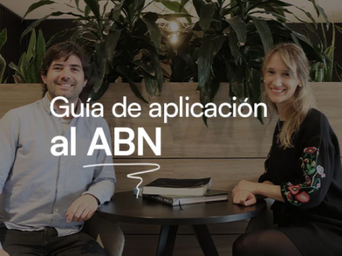 Guía de aplicación al ABN