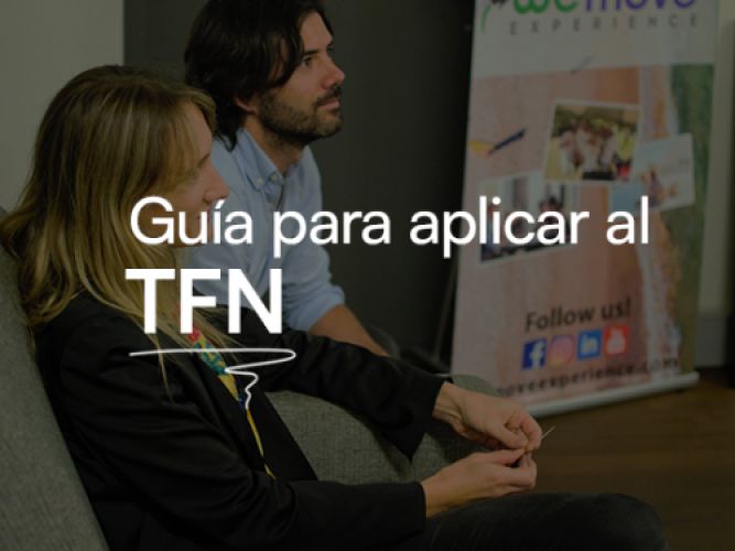 Guía para aplicar al TFN