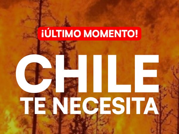 Emergencia en Chile: miles de familias necesitan de nuestra ayuda urgente